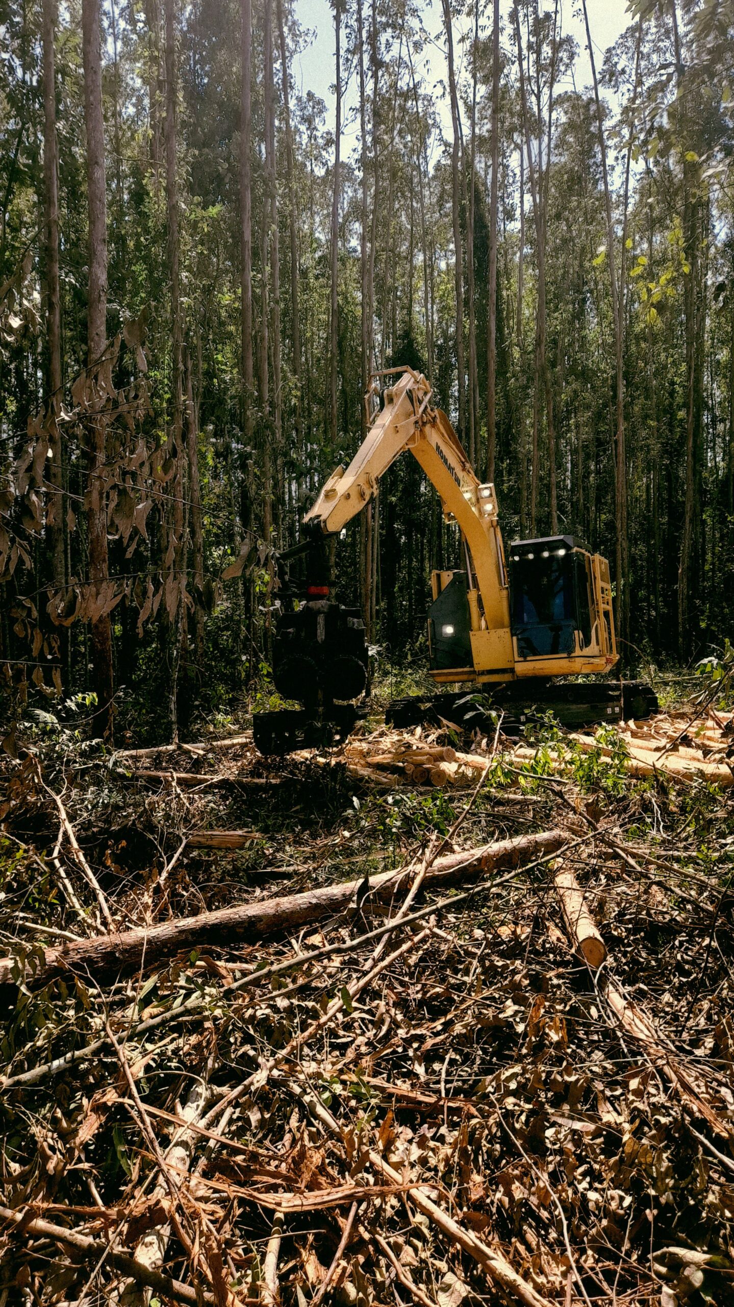Land Management in Newberry, SC