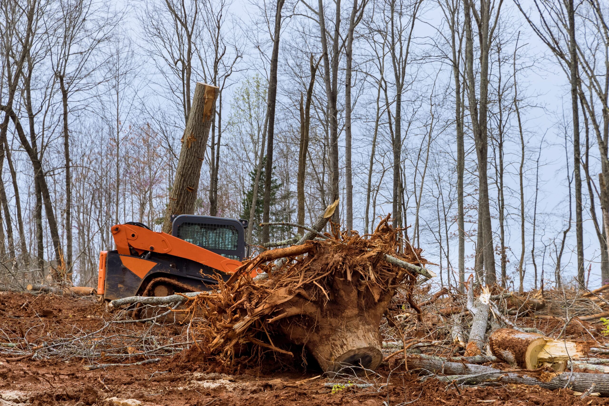 Land Management in Newberry, SC